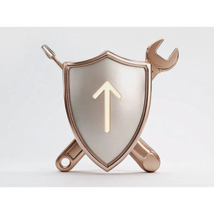 Paquete de Ciberseguridad Deluxe para Pequeñas Empresas - Paquete Premium de Herramientas Digitales para Negocios, Seguridad en Línea, Descarga Instantánea, Licencia PLR - Product Image 5