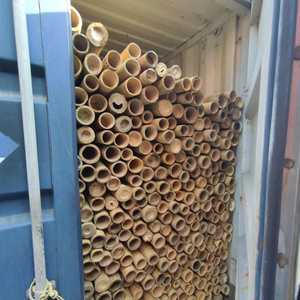 Poteaux en bambou doré traité du Vietnam, lot de piquets de 1 à 10 m de long, solides et épais pour l'agriculture, la construction et la décoration intérieure - SAFIMEX - Product Image 4