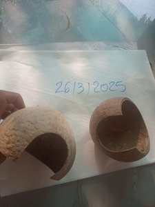 Cueva de coco ecológica al por mayor, cúpula de media cáscara de coco con puerta redonda, cabaña de Coco para mascotas hecha a mano en Vietnam - Product Image 6