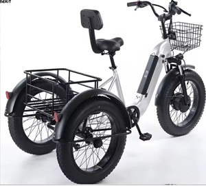 Nuevo triciclo eléctrico con llantas gruesas de 20 pulgadas, 500W, 48V, 12Ah, 140kg - Product Image 3
