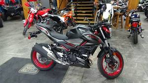 Nuevo Z500 SE ABS - 451cc Muscle, ABS Safety New Street Motorcycle listo para exportar - Product Image 4