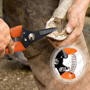 Ensemble d'outils de maréchal-ferrant sur mesure de haute qualité Instruments vétérinaires Kit d'outils de sabot réutilisables à faible quantité minimale de commande - Product Image 5