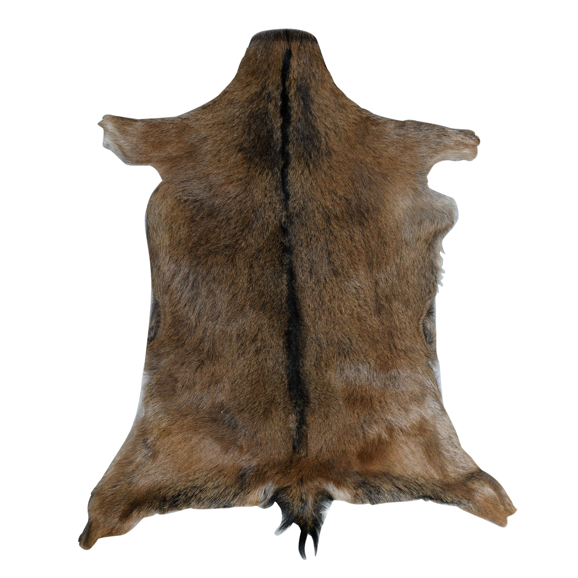 สีน้ำตาล