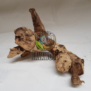 Bois flotté de qualité supérieure La décoration parfaite pour les aquariums et les vivariums d'Indonésie - Product Image 6