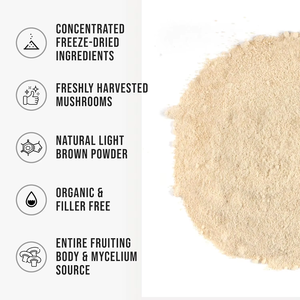 Poudre de champignon crinière de lion de haute qualité OEM/ODM, poudre naturelle pour le corps, favorisant la concentration cérébrale, l'énergie et la santé immunitaire - Product Image 3