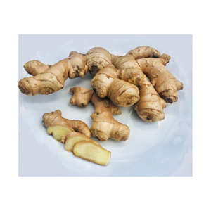 <b>Fresh</b> <b>ginger</b> available for bulk export with consistent size and rich aroma - Product Image 6