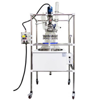 Réacteur en verre sphérique bon marché pour machine d'extraction de CO2 supercritique/machine de production de biodiesel