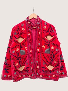 Manteau en velours brodé de fleurs de style chinois, col mandarin, manches longues, grande taille, vêtements d'extérieur d'hiver pour femmes - Product Image 1