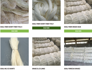 Fibres de sisal brutes techniques tissées naturelles de qualité UG/SSUG/3L pour le béton et la filature - Product Image 2