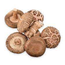 <b>Top</b> Selling High Quality Dried Shiitake <b>Mushroom</b> With Cheapest Price - Product Image 6