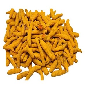 Doigts de curcuma de haute qualité, prix de gros en vrac - Product Image 4