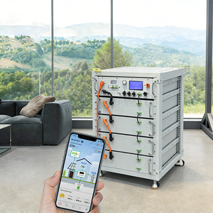 DDP配送 5kWh Lifepo4 エネルギー貯蔵バッテリー 48V 51.2V BOX（280Ah 302Ah LiFePO4バッテリーケース用） - Product Image 3