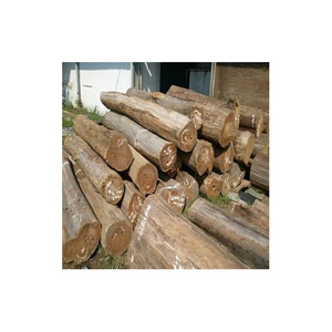 Troncos de madera de eucalipto Natural más vendidos, diversos tipos, incluyendo madera de pino de roble, teca, patrón redondo, abedul, haya, cereza
