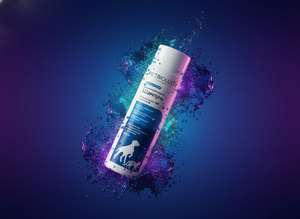 Shampoo thérapeutique Premium PetBiology, formule douce à l'acide lactique et à l'allantoïne, en flacon plastique pour chiens et chats, 250 ml - Product Image 2