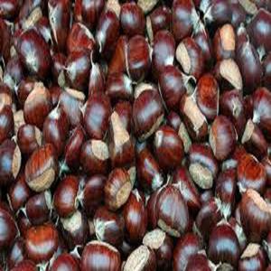 Noyaux de châtaignes bio naturels / Châtaignes grillées / Châtaignes pelées - Product Image 3