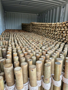 ไม้ไผ่ขนาดใหญ่สำหรับตกแต่งรั้วพาร์ทิชันตกแต่งจากเวียดนาม/ไม้ไผ่รับการรักษาสำหรับสวนกลางแจ้ง/อ้อยไม้ไผ่ตรง - Product Image 4