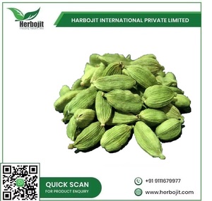 Cardamomo Verde Fresco Orgánico de la Mejor Calidad, Fuerte Fragancia, Sabor Intenso, Directo de la India, Cocina Gourmet, Herbojit 25 kg - Product Image 6