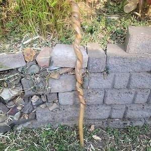 Palabras clave Precio Bastón de madera ajustable con múltiples nudos Bastón de madera fuerte para ancianos por Standard International - Product Image 5