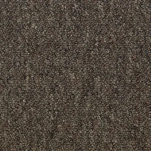 Shaw 54480 Philadelphia Commercial Capital III 24 \ "X 24 \" Tuiles Série Eminence - Product Image 1