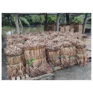 Suministro de jacinto de agua cruda ecológica de fibra artesanal natural de Vietnam para producción artesanal y marcas de artículos para el hogar verdes - Product Image 5