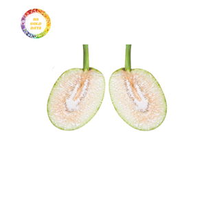 Pain congelé abordable de qualité supérieure, idéal pour l'achat en gros et les marchés d'exportation - Product Image 1