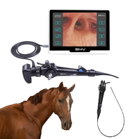 Équipement de bronchoscope vidéo portable vétérinaire endoscope vétérinaire flexible médical sans fibre pour animaux de compagnie cheval