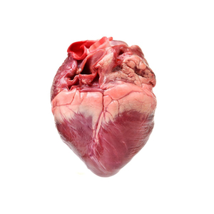 หัวใจหมูแช่แข็งคุณภาพพรีเมียมสำหรับขาย มีคุณค่าทางโภชนาการสูง เหมาะสำหรับทำอาหารหลากหลายประเภท - Product Image 2