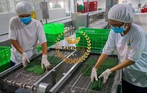 Prix d'usine Takimex Pailles de riz bio compostables biodégradables jetables personnalisées Accessoires de bar à Offre Spéciale de style luxe - Product Image 5