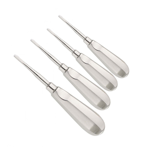 New Root Elevator Ben Dental Tools Dental Examination Elevator Stainless Steel Instruments <b>Sutur</b> <b>Kit</b> Medic Instrument - Product Image 1