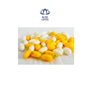 หนอนรังไหม - Product Image 6
