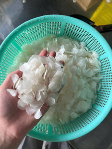 Écailles de poisson séchées du Vietnam, haute qualité, en gros, nettoyées, source naturelle pour engrais et aliments, 20kg/carton, meilleur prix abordable - Product Image 4