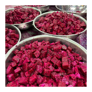 Premium Frozen Dragon Fruit Vietnam IQF Proveedor mayorista para exportación - Product Image 4