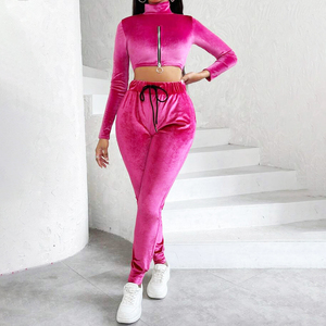 Logo personnalisé Automne Hiver Velours Survêtements Deux Pièces Ensemble Femmes À Capuche Ensemble 2 Deux Pièces Survêtements Survêtements - Product Image 1