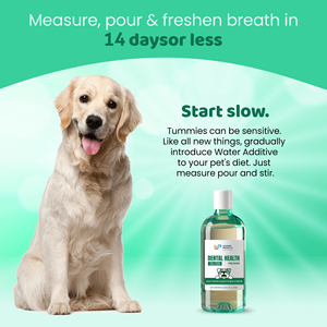 Vente chaude OEM/ODM 1Ltr étiquette pour animaux de compagnie marque privée prix de gros produit d'haleine pour chien frais qui défend contre la plaque et le tartre - Product Image 3