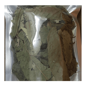 Hojas de Guayaba Secas Premium, Procesadas a partir de Material Vegetal Natural para Rellenar Bolsitas de Té, Vietnam - Product Image 3