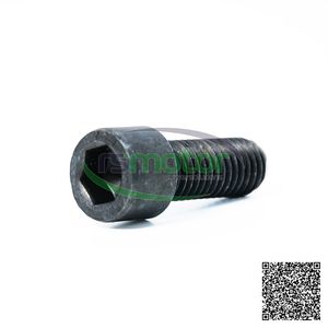 Pièces de moteur multifonctionnelles de vis à tête de fromage en fonte de haute qualité pour l'utilisation de l'industrie agricole de gaz naturel de RS-01148443 MWM - Product Image 5