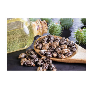 Aceite de Ricino Orgánico Directo de Fábrica, Certificado por USDA y la UE, en Cubetas de 20 kg y 25 kg, Tambor de 200 L, Prensado en Frío, Sin GMO, Para la Salud - Product Image 6