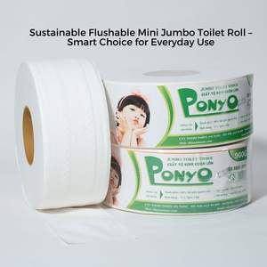 Luxury-Grade Mini Jumbo Bamboo 2-Ply Toilet <b>Paper</b> Soft Strong Virgin Wood Pulp Embossed Dots Skin-Friendly Jumbo <b>Roll</b> - Product Image 2