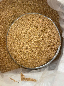 Polen de Abeja Natural Puro: La Mezcla Perfecta de Flor de Café y Bidens Pilosa // Evan Le - Product Image 1
