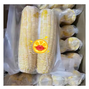 Granos de maíz congelados IQF-cosechados en Vietnam, empaquetados para uso a granel en fábricas de alimentos y cocinas por 99 Gold Data - Product Image 4