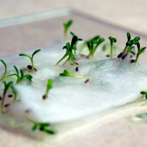 Hojas de papel hechas a mano incrustadas Tamaño A4 Papelería ecológica Papel de impresión Hoja de papel en blanco Venta al por mayor Perfecto para dibujar ilustraciones - Product Image 5