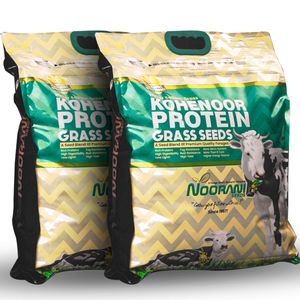 หญ้าโปรตีน อาหารสัตว์ สำหรับเพิ่มผลผลิตน้ำนมและเนื้อสัตว์ - Product Image 5