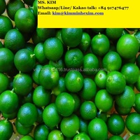 Groene Huid Natuurlijk Zuur Graad 1 100% Verse Calamansi Van Vietnam-Pk 0084 917 476 477
