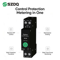 Disjoncteur intelligent Wi-Fi 1P+N 220-230V AC sur rail DIN avec mesure d'énergie et protection 1A~63A, capacité de coupure 6kA pour la vente en gros