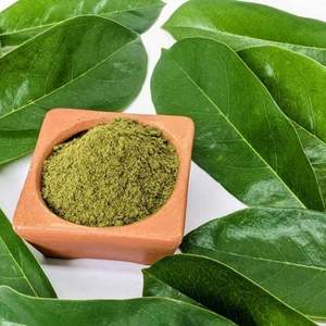 Dried Soursop Leaves Graviola Leaf Premium Annona Muricata Leaves for Worldwide Vietnam Natural Soursop Leaves Extract Powder - Product Image 4