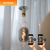 Ampoule LED vintage à filament en spirale en verre fumé de grande taille à double ampoule au design unique, intérieur 110-130V DG150 E26, lumières décoratives en verre