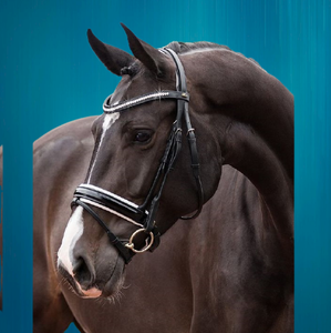 Vente en gros de bride de cheval Diamante de haute qualité 2018 vente chaude bride Unique pour chevaux Nouveau cheval de haute qualité Unique - Product Image 2