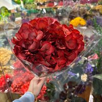Konservierte Hortensien, getrocknete Hortensien, Hortensia, ewige Blumen, rote Hortensienstiele für Hochzeiten, handgefertigte Blumenarrangements, Großhandel