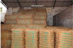 Fibre de coco crue de haute qualité Utilisation agricole écologique Vietnam - Product Image 4