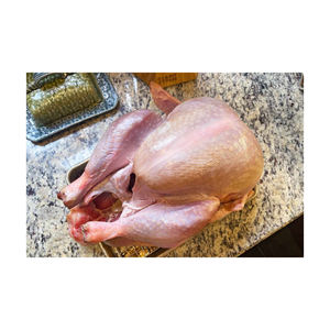 Vente de gros FROZEN TURQUIE CLAIRE ET FONCÉ Congelé Halal - Product Image 2